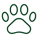 Pet shops